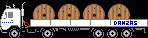 Danzas Logistik .gif (2022 Byte)
